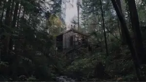 Задник к фильму "Крипер" #514502