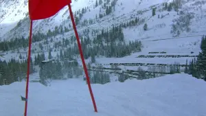 Задник к фильму "Уж лучше умереть" #275728