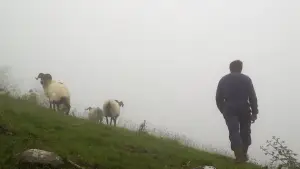 Задник к фильму "Non dago Mikel?" #934965
