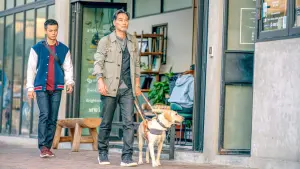 Задник к фильму "" #495348