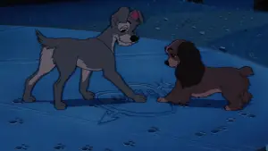 Задник к фильму "Леди и бродяга" #629705