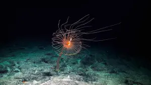 Задник к фильму "" #498498