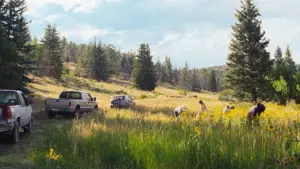 Задник к фильму "Перестройка" #527805