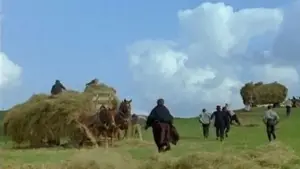 Задник к фильму "Роза Бернд" #681121