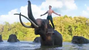 Задник к фильму "Джунгли: Альма Сальвахе" #452660