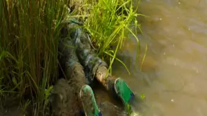 Задник к фильму "" #496896