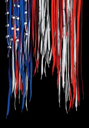 Постер к фильму "День патриота" #243318