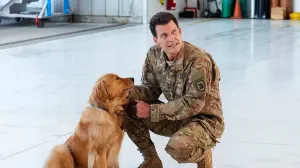 Задник к фильму "Любовь и Солнце" #426376