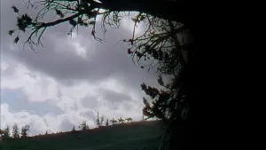 Задник к фильму "Излучина реки" #407664