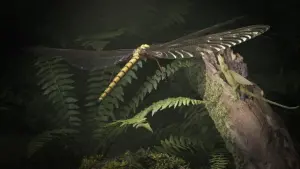 Задник к фильму "" #482088