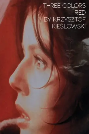 Постер к фильму "Три цвета: Красный" #94004