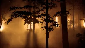 Задник к фильму "Гражданская война" #486792