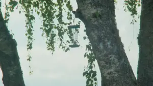 Задник к фильму "" #563285