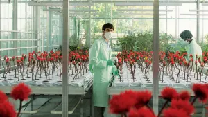 Задник к фильму "Малыш Джо" #385883