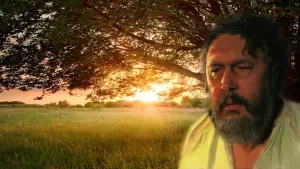 Задник к фильму "Знахарь" #452176