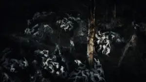 Задник к фильму "Антихрист" #723329