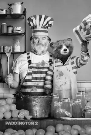 Постер к фильму "Приключения Паддингтона 2" #87336
