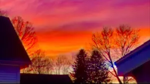 Задник к фильму "" #420064