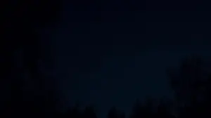 Задник к фильму "Первая корова" #932202