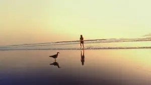 Задник к фильму "Американская история Х" #614465