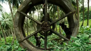 Задник к фильму "Пираты Карибского моря: Сундук мертвеца" #564250