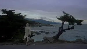 Задник к фильму "Головокружение" #635892