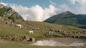 Задник к фильму "Дыра" #197117