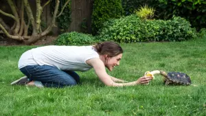 Задник к фильму "Детка" #302013