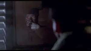 Задник к фильму "Один дома 2: Затерянный в Нью-Йорке" #567123