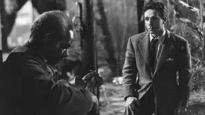 Видео к фильму Восход луны | A Scene from MOONRISE