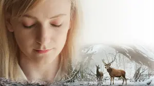 Задник к фильму "О теле и душе" #231111