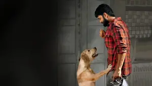 Задник к фильму "777 Чарли" #418978