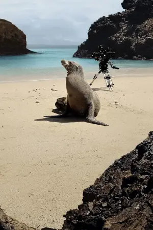 Постер к фильму "" #720087