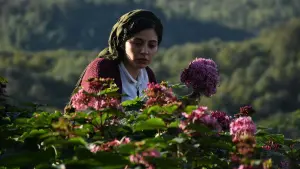 Задник к фильму "Зла не существует" #372503