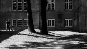 Задник к фильму "Исчезновение Йозефа Менгеле" #537701