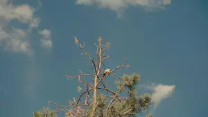 Задник к фильму "Увидь меня в хорошем свете" #580443