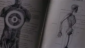 Задник к фильму "Донни Дарко" #528233