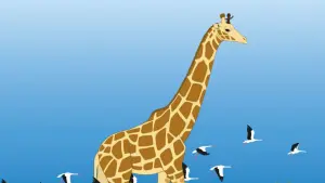 Задник к фильму "Кирику и дикие звери" #470292