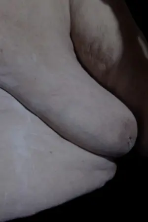 Постер к фильму "" #367212