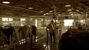 Задник к фильму "Эрин Брокович" #663531