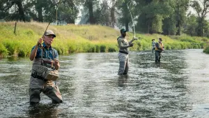 Задник к фильму "Починка лески" #387227