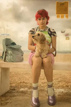 Постер к фильму "Рейнбоу" #499082