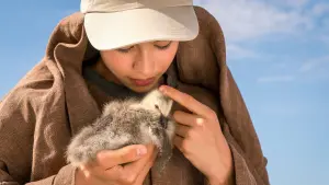 Задник к фильму "Расправь крылья" #417423