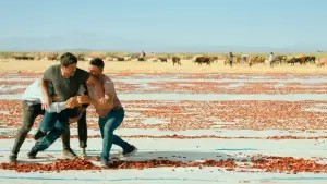 Задник к фильму "" #737166