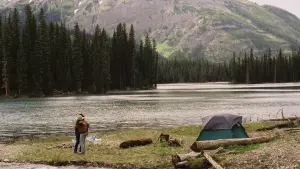 Задник к фильму "Горбатая гора" #504399