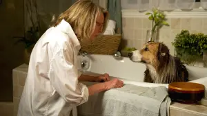 Задник к фильму "Самый близкий друг" #470847