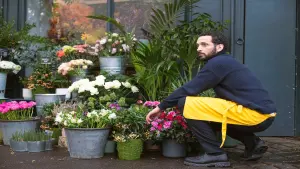 Задник к фильму "" #413315