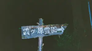 Задник к фильму "口に関するアンケート" #911021