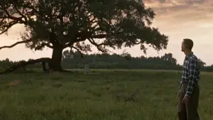 Задник к фильму "Форрест Гамп" #528551