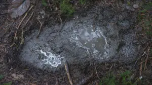 Задник к фильму "Большая легенда" #449881